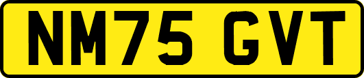 NM75GVT