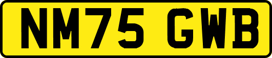 NM75GWB