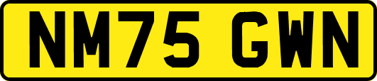 NM75GWN