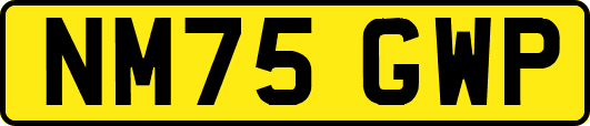 NM75GWP