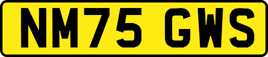 NM75GWS