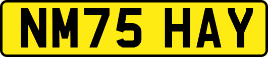 NM75HAY