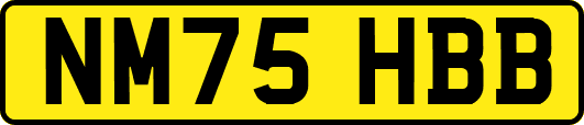 NM75HBB