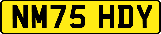 NM75HDY