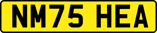 NM75HEA