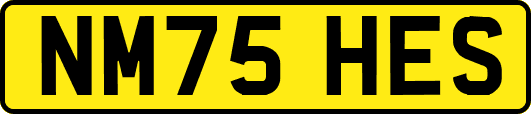 NM75HES