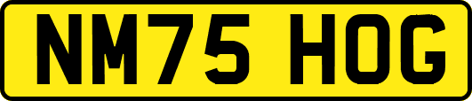NM75HOG