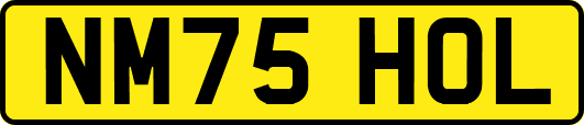 NM75HOL