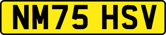 NM75HSV