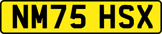 NM75HSX