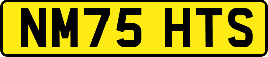 NM75HTS