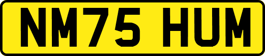 NM75HUM