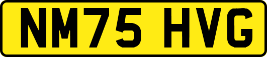NM75HVG