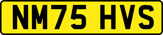 NM75HVS
