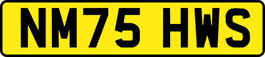 NM75HWS