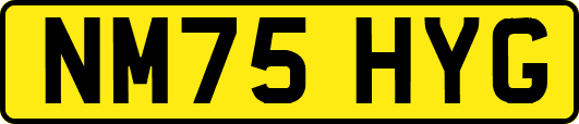 NM75HYG