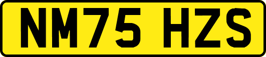 NM75HZS
