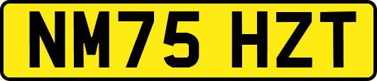 NM75HZT