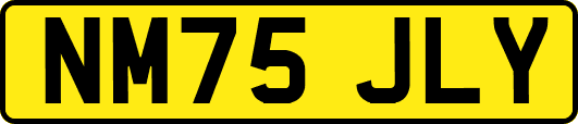 NM75JLY