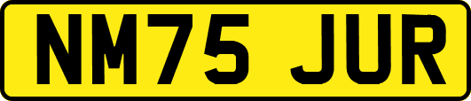 NM75JUR