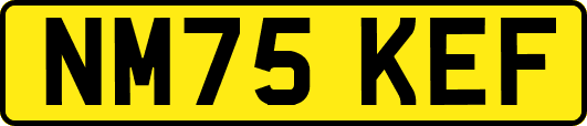 NM75KEF