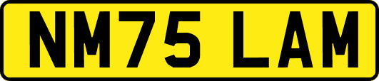 NM75LAM
