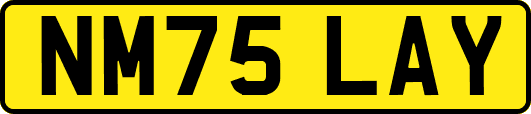NM75LAY