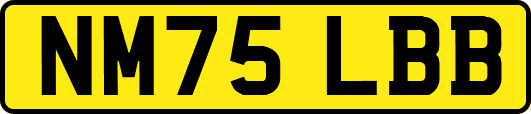 NM75LBB