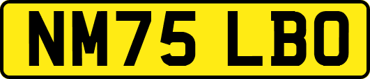NM75LBO