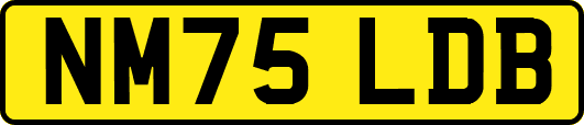 NM75LDB