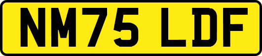 NM75LDF