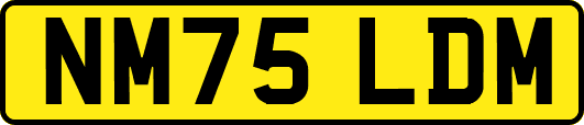NM75LDM