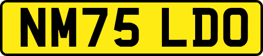 NM75LDO