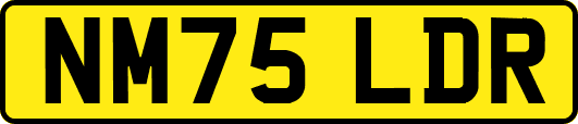 NM75LDR