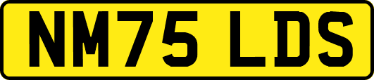 NM75LDS