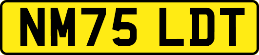 NM75LDT