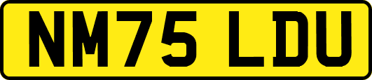 NM75LDU