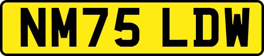 NM75LDW