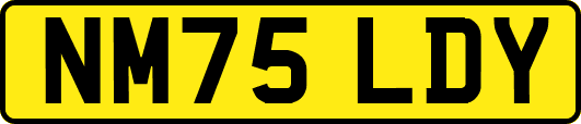 NM75LDY