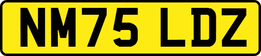 NM75LDZ