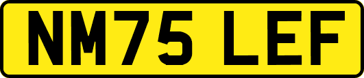 NM75LEF