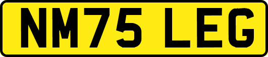 NM75LEG