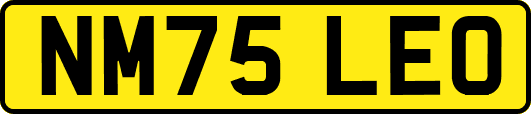 NM75LEO