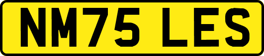 NM75LES