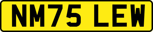 NM75LEW