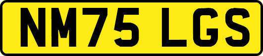 NM75LGS
