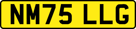 NM75LLG