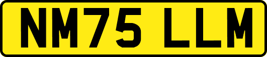 NM75LLM