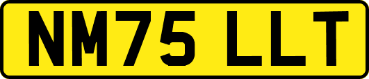 NM75LLT