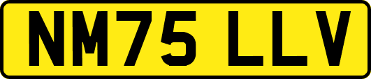 NM75LLV